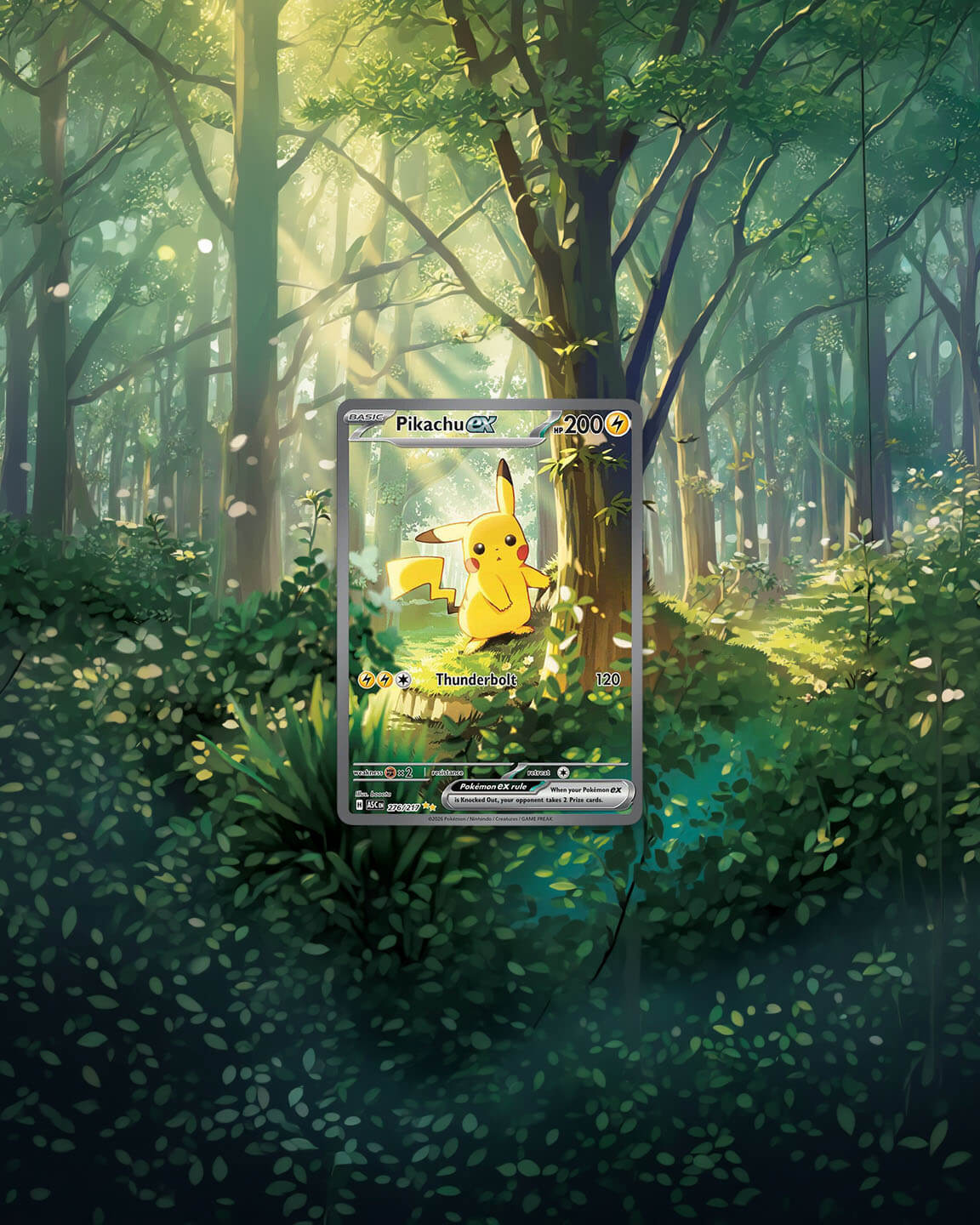 Framed TCG