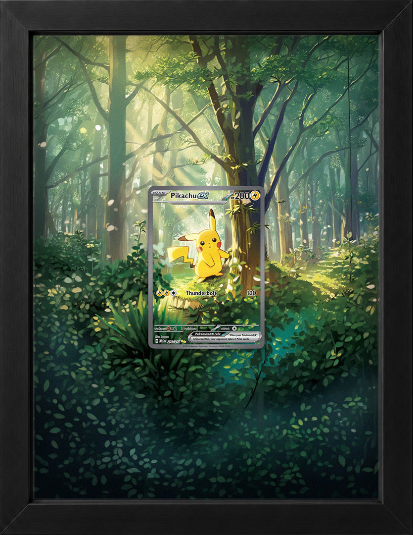 Framed TCG
